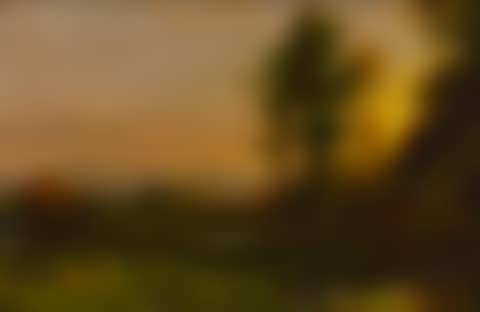 LANDSCAPE STUDY (preview)