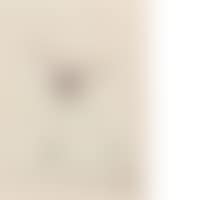 POULE (preview)