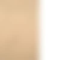 Surrealist Face (preview)