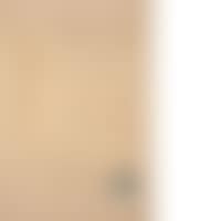Equilibrist (preview)