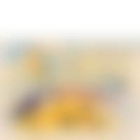 Corrida (preview)