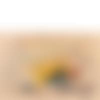 Corrida (preview)