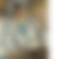 The patient (preview)