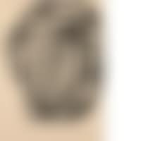 Woman's body (preview)
