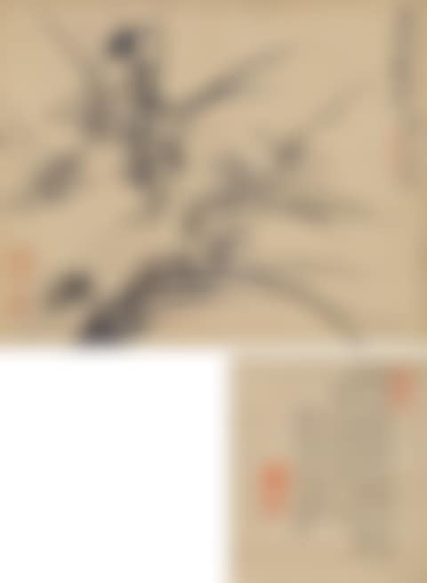 ORCHID (preview)