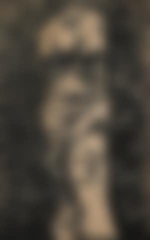 Black Venus in the Wood (preview)