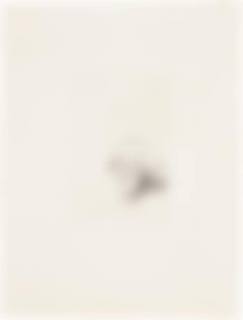 My Mother Today: as a Study for Félicité in "A Simple Heart" of Gustave Flaubert (preview)