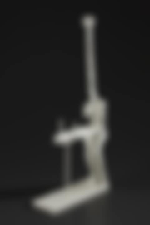 Venus à la giraffe (preview)