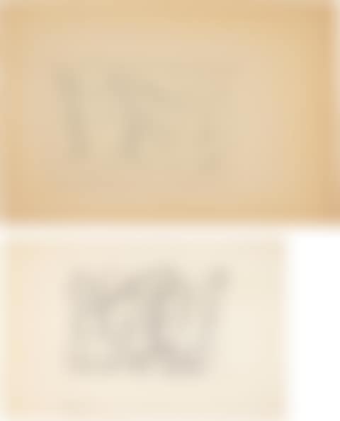 [Visage/Oiseau]: two works (preview)