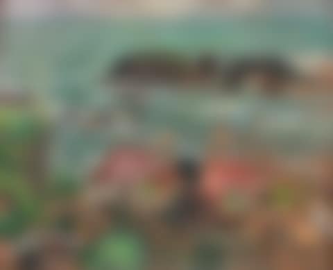 Above Largo Bay (preview)