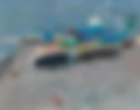 Mending Fishing Boats (preview)