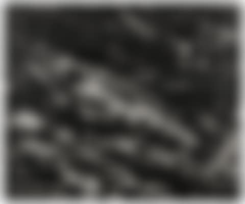 THE TROUT (AFTER COURBET) (preview)