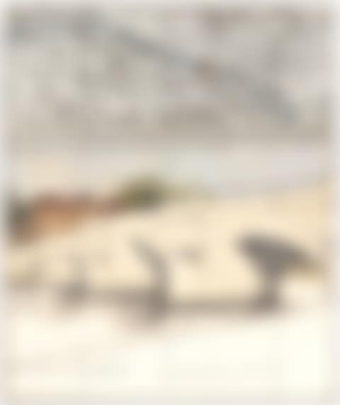 THE PONT NEUF, WRAPPED (PROJECT FOR PARIS) (preview)