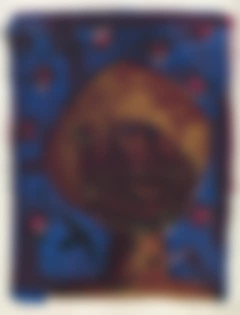 Cabeza Con Pájaros (preview)