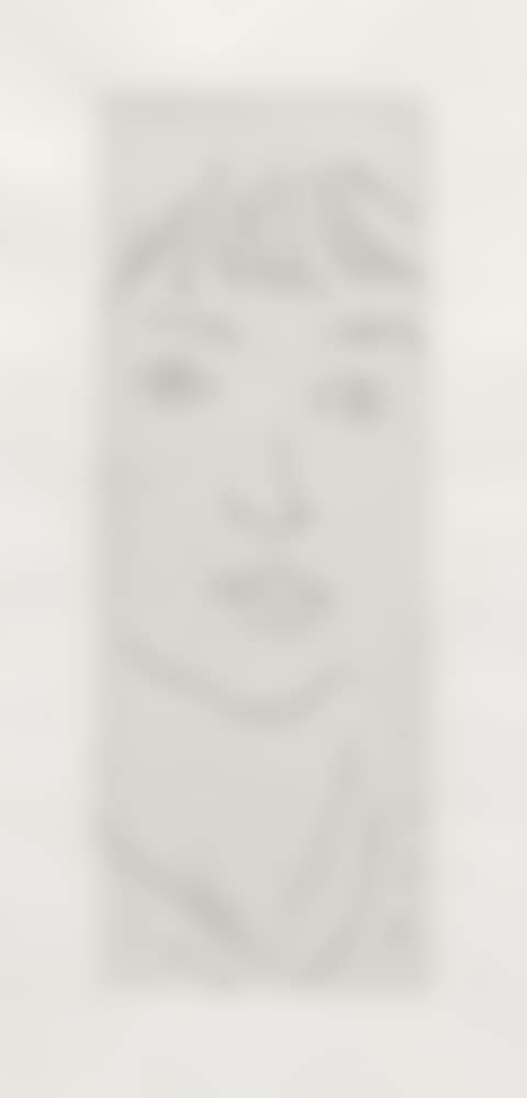 Fanny De Face (preview)