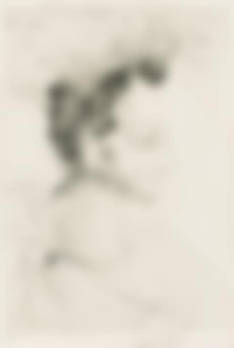 Portrait De Ronsard (preview)
