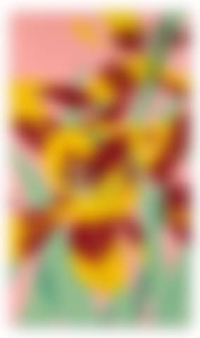 Open Tulips (preview)