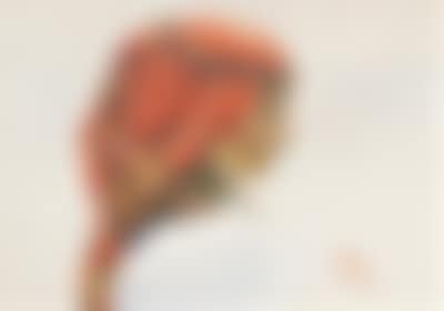 Head of a Girl (preview)