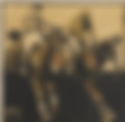 During a Horse Race (preview)