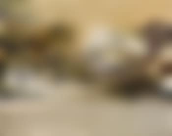 7.12.69 (preview)