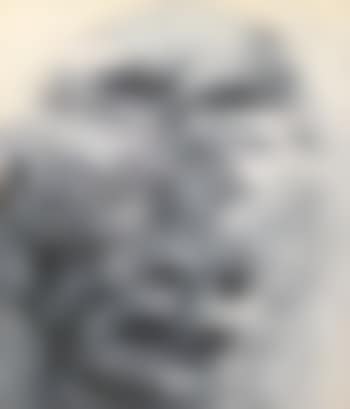Portrait (preview)