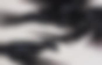 Movement in stillness (preview)