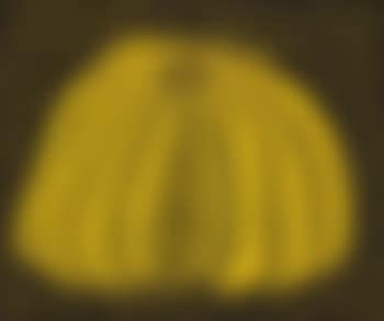 Pumpkin (preview)