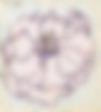 Flower (preview)