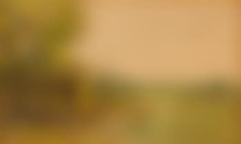Frühlingslandschaft (preview)