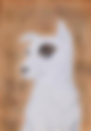 Sans titre / Chien (preview)