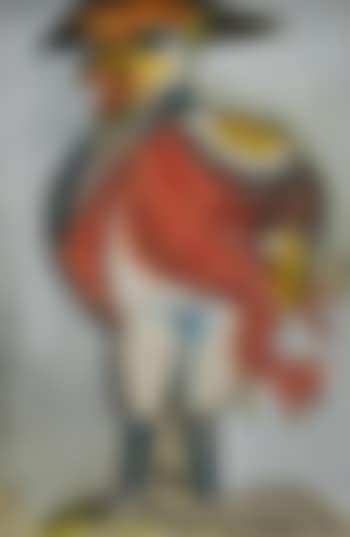 Captain Chook discovered Australia (preview)