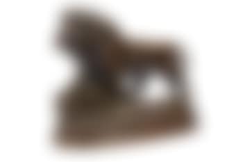 Lion terrassant un sanglier (preview)