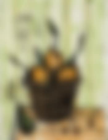 Oranges dans un panier (preview)