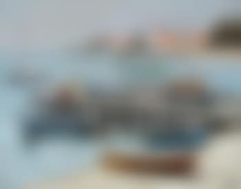 Cannes, le port du moure rouge (preview)