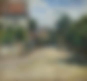 Country road in Odessa (preview)