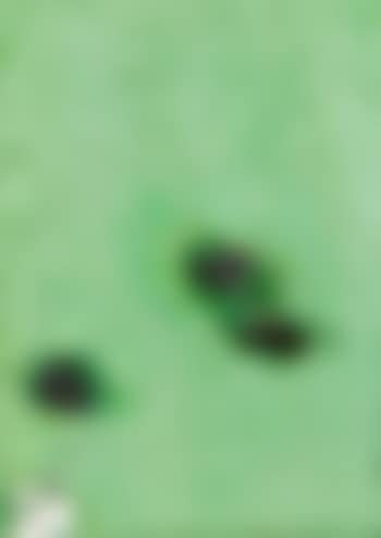 Composition verte (preview)