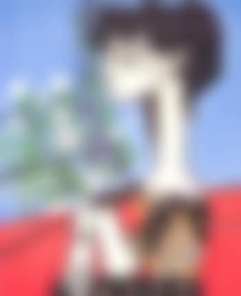 Jacqueline with flowers (preview)