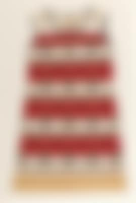 The Souper Dress (preview)