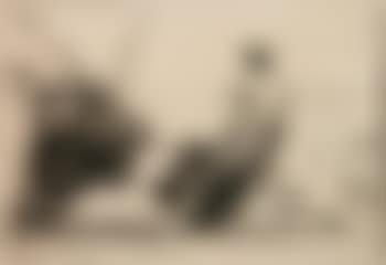 A Fierce Bull (preview)