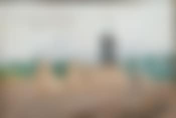 Paysage d’été au moulin (preview)