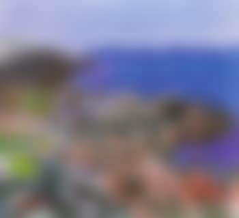 Stenig strand, Sydkoster (preview)
