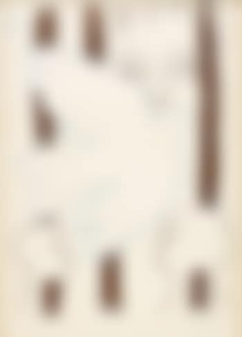 Amnistia (preview)