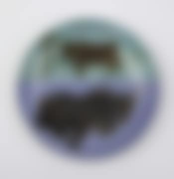 Toros (preview)