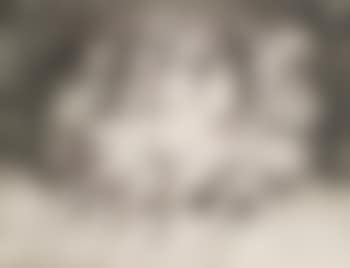 La petite mort (preview)