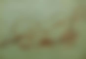 Reclining female nude (preview)
