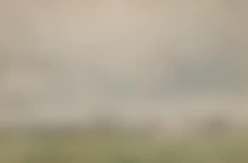 Landschaft bei Pavia (preview)