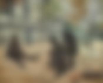 Die Schornsteinfeger (preview)