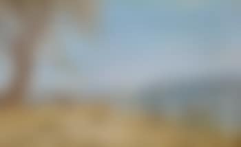 Le Haut lac de la terrasse d′Haldimand (preview)