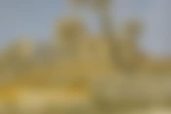 Paysage de Provence (preview)