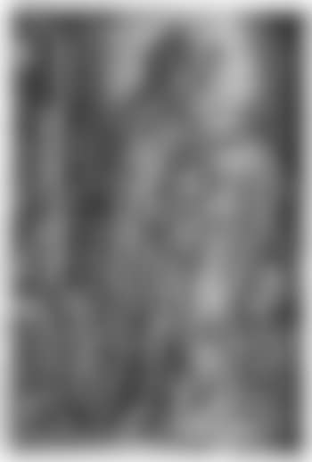 Der hl. Antonius (preview)